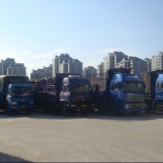 福州順利貨運 專業道路貨運服務專家